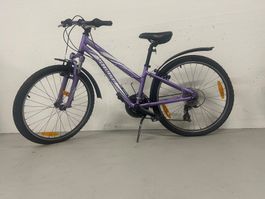 Kinder Velo Specialized HOTROCK lila guter Zustand