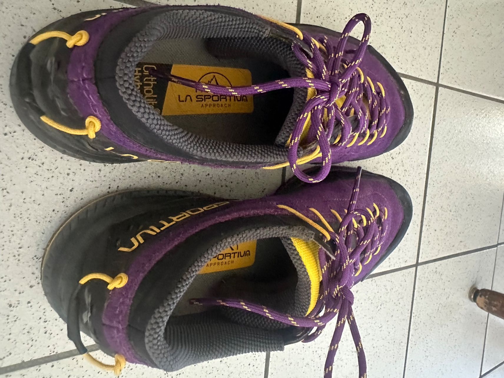 La Sportiva TX4 EVO - chaussures d’approches femme violette (Neu ...