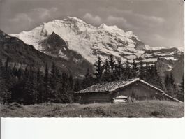 Jungfrau 1966