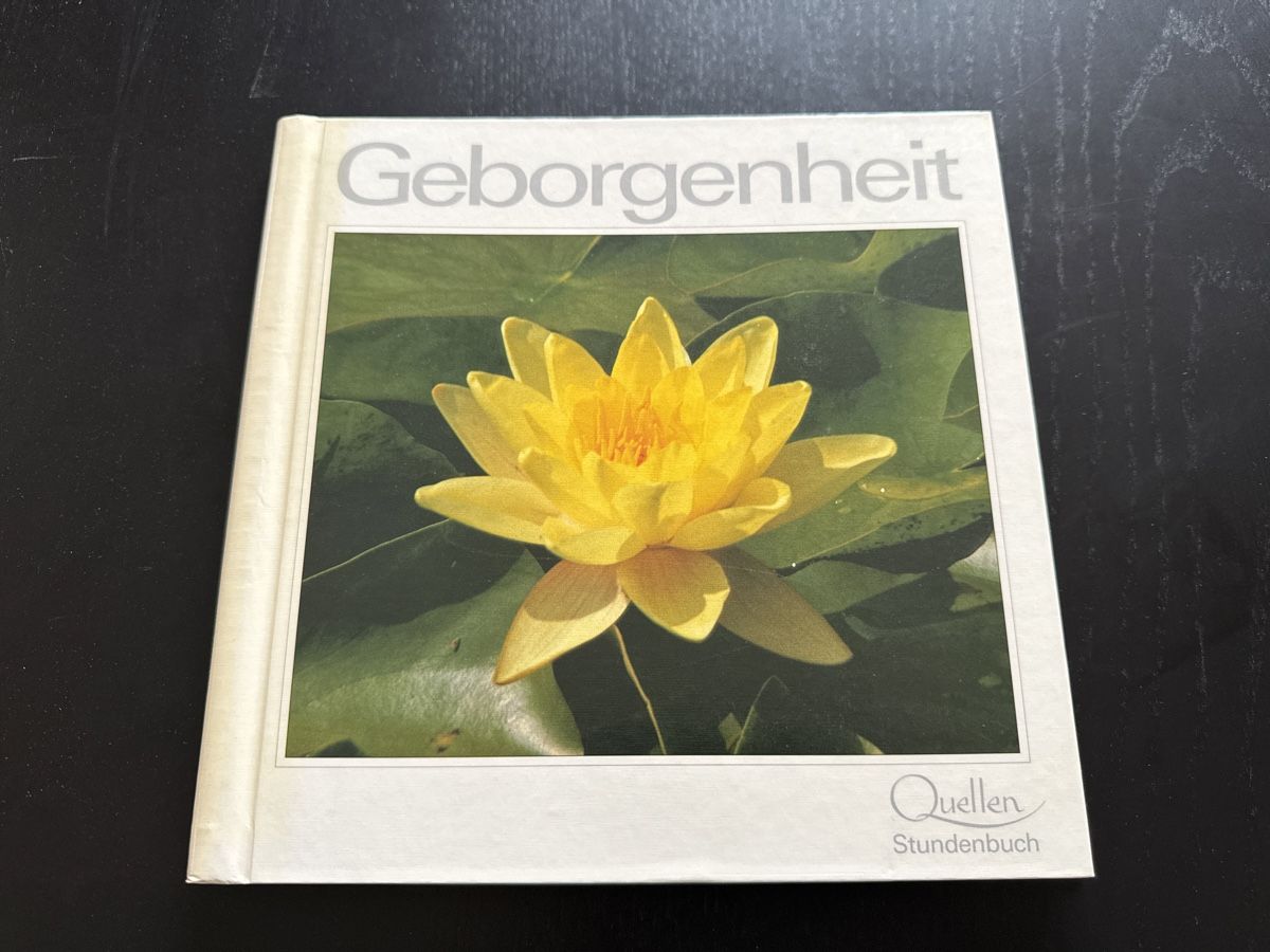 Libri: Geborgenheit – Usato da Erstfeld venduto da Mario_boe0