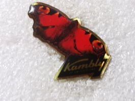 Ansteckpin 122: Kambly
