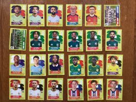Panini FWC 2026