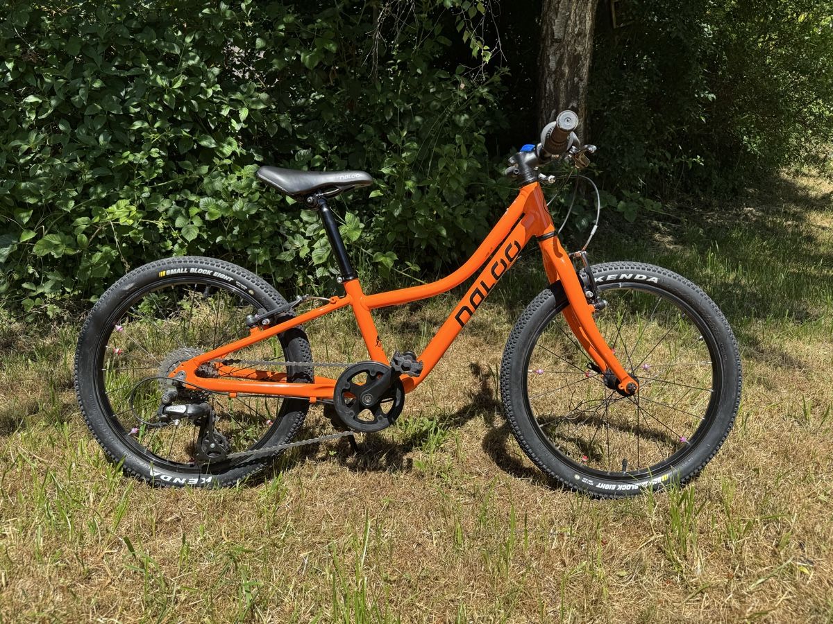 Naloo Biciclette: Kindervelo – Usato da Marbach LU venduto da Mofie 2