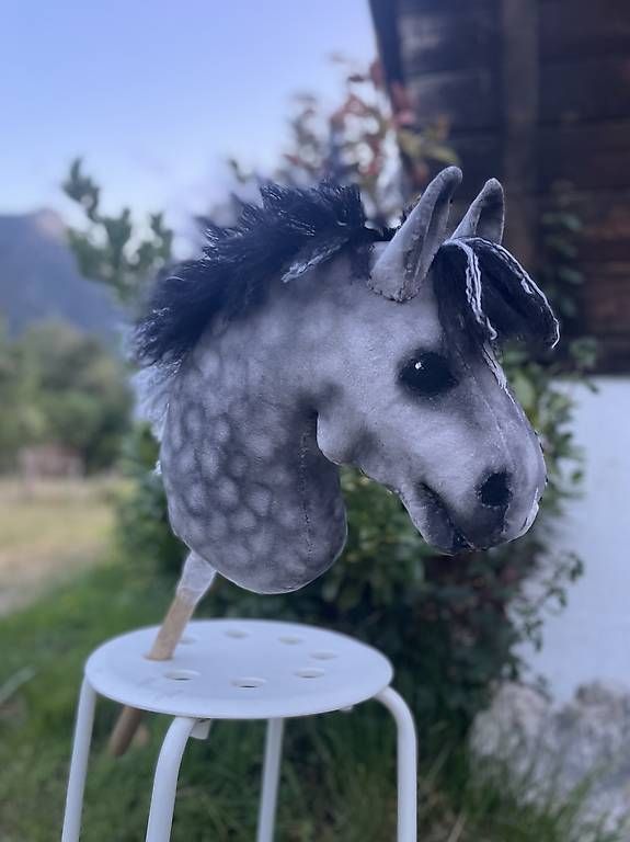Spielzeuge: Hobby Horse HOCHWERTIG – Gebraucht aus Susten von Kht_formidable 3