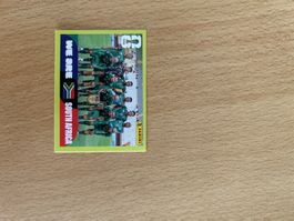 RSA 13- Panini WM 2026- South Africa