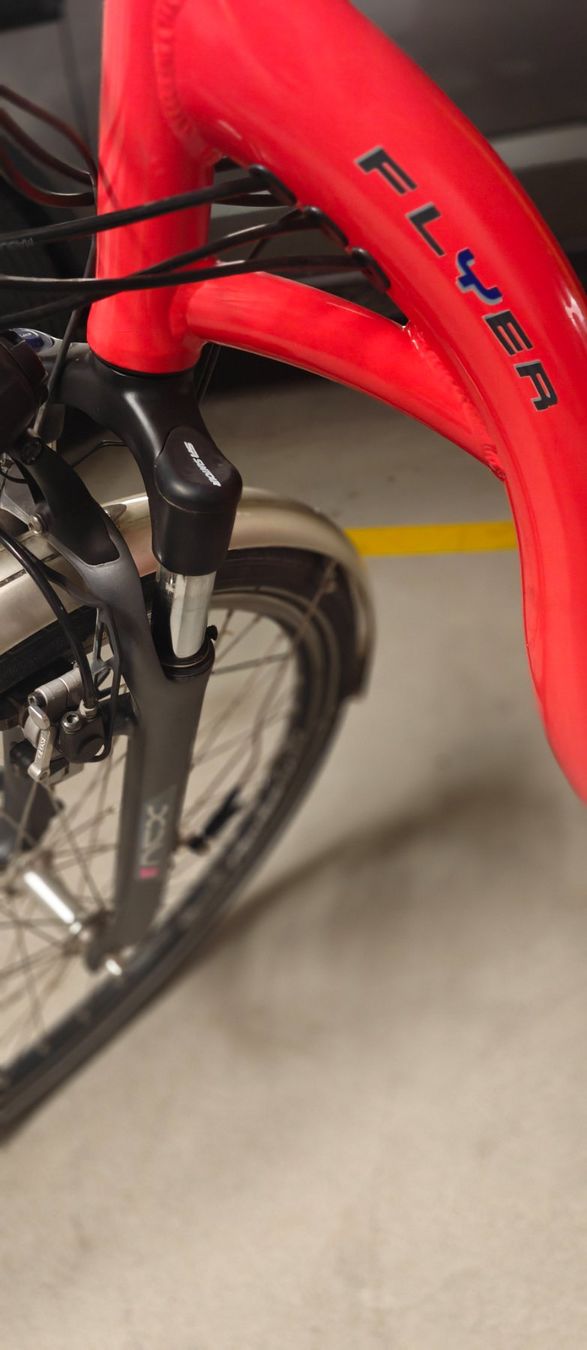 Flyer Biciclette: Wenig KM Flyer eBike – Usato da stallikon venduto da Dalacoke 6