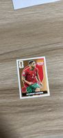 Stickers panini