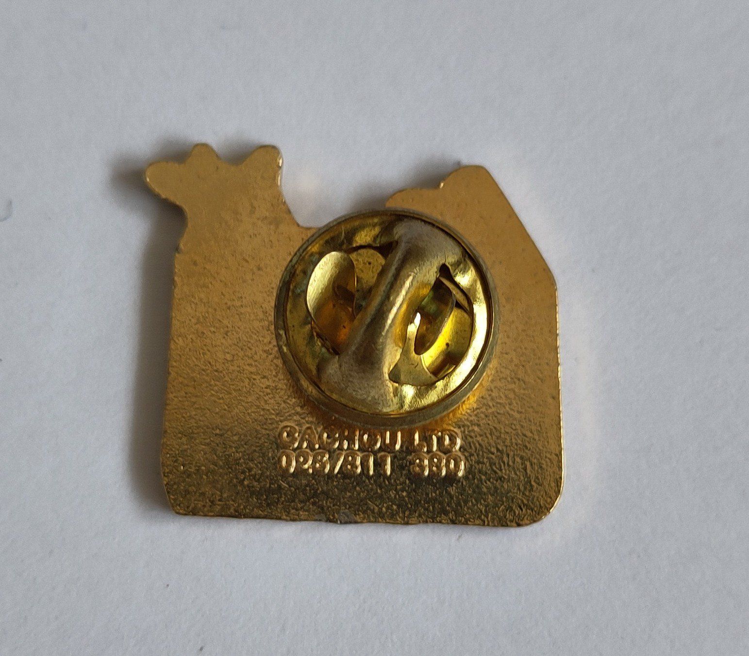 Placchette & Badge: Pin Magic club – Usato da Lausanne venduto da the_p2w5 1