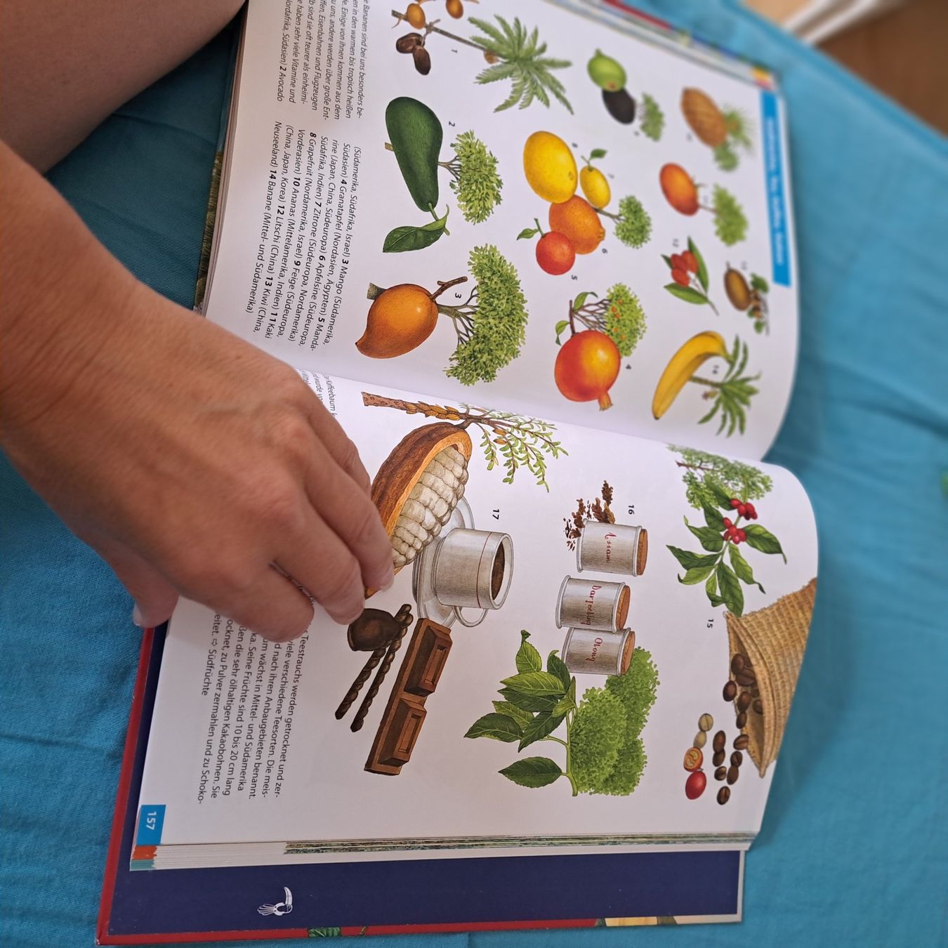 Libri: Das Grosse Herder Bilder Lexikon – Usato da Unterentfelden venduto da Miro-Lou 6