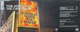 TOM JONES AND THE CARDIGANS - BURNING DOWN THE HOUSE