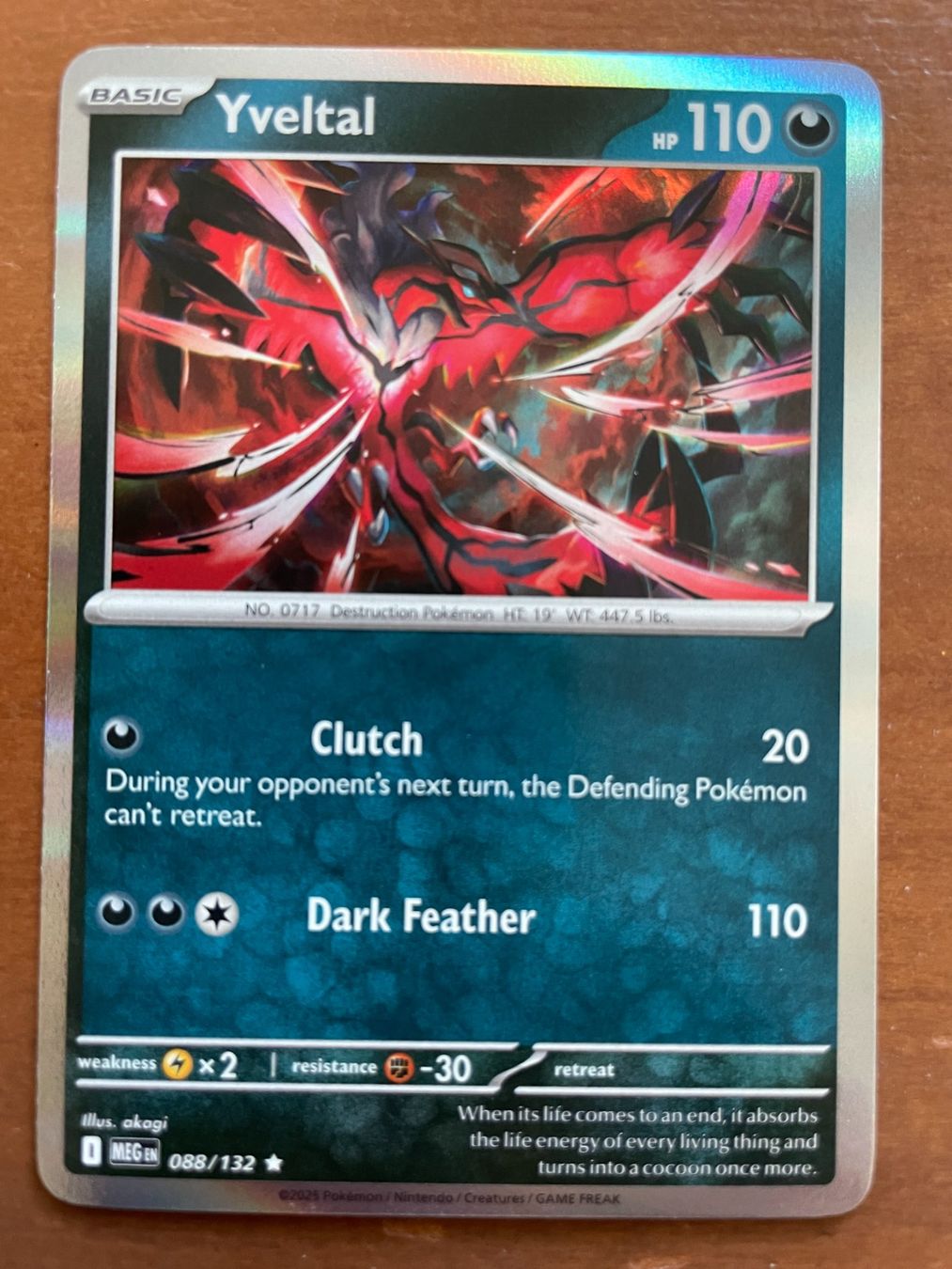 Pokémon Sammelbilder & Trading cards: Pokemon Yveltal Holo (Versand gratis) – Neu (gemäss Beschreibung) aus Chur von Angerson