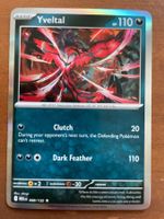 Pokemon Yveltal Holo (Versand gratis)