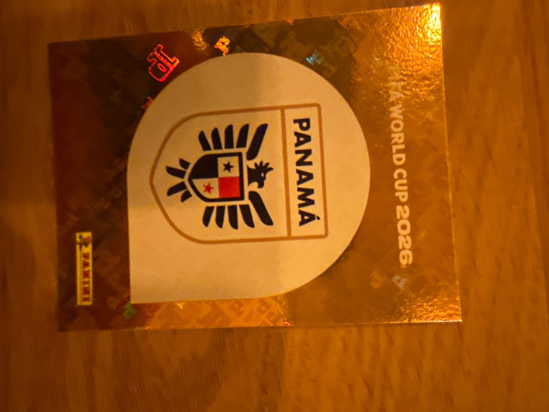 Panini Carte collezionabili: Panini – Usato da Langnau i. E. venduto da Acrjl