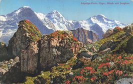 Schynige eiger