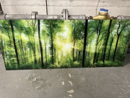 Wandbild Wald Motiv mit Halterungen guter Zustand