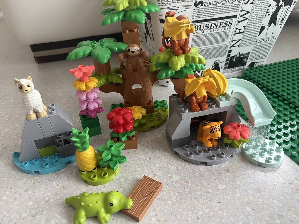 Spielzeuge: Lego Duplo grosses Set – Gebraucht aus Thayngen von xelera