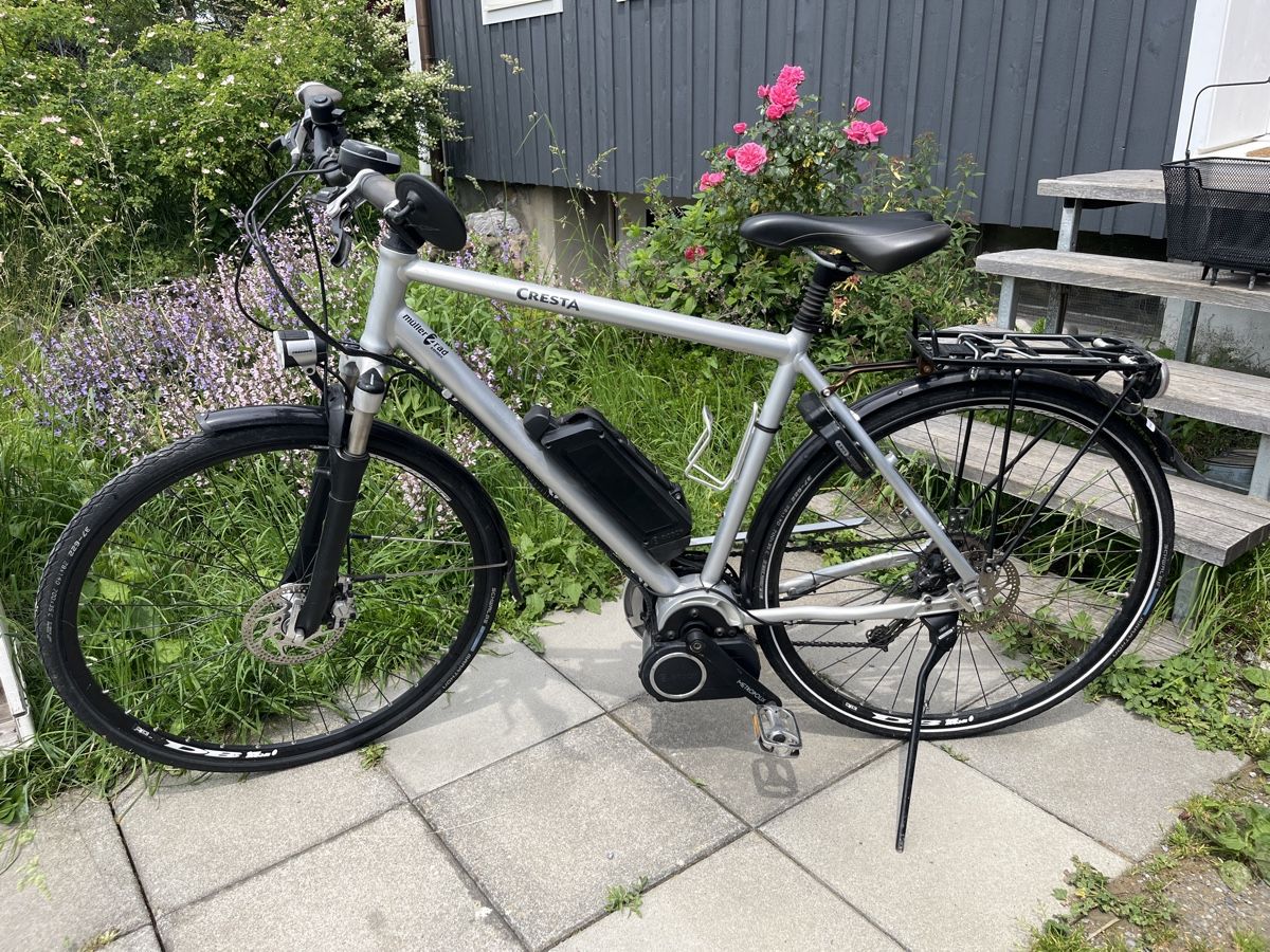 Cresta Biciclette: CRESTA swiss e- bike – Usato da Römerswil LU venduto da sdg16