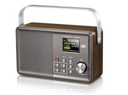 Radio Albrecht DR 860 DAB+ Holzoptik neuwertig