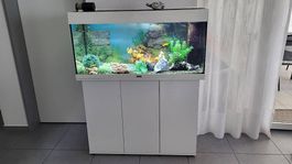 Aquarium 180 Liter mit Unterschrank und Zubehör
