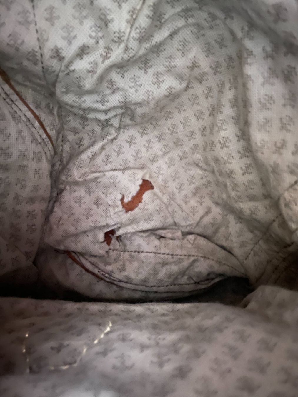 Zaini: Lederrucksack – Usato da Zofingen venduto da angito 2