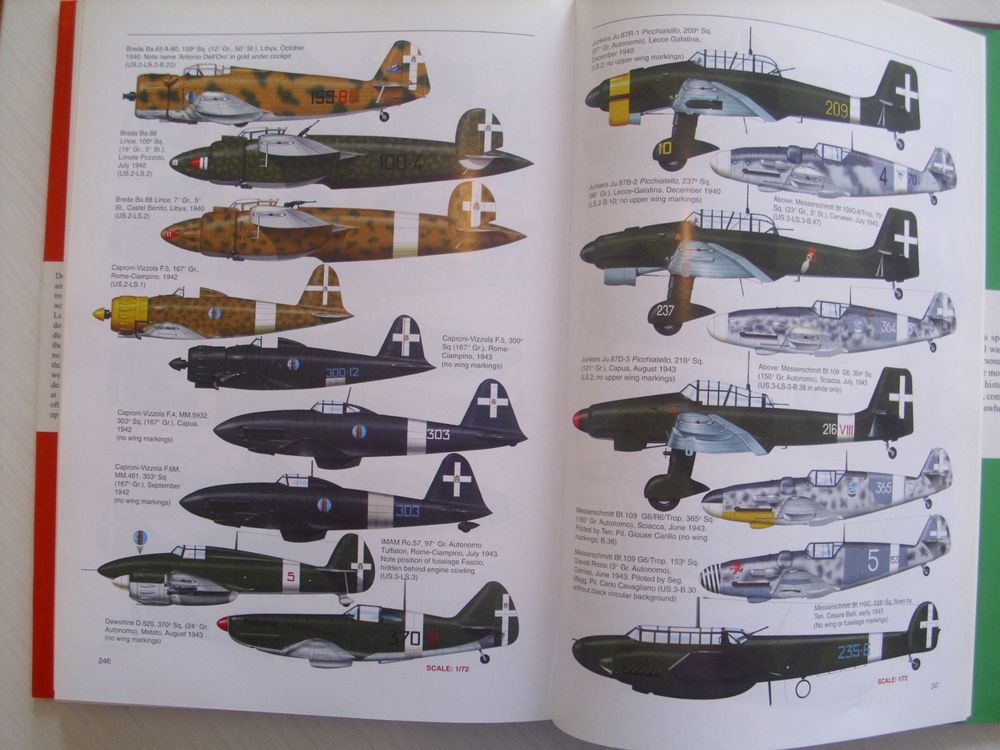 Aviation: The Italian Air Force 1940-1943 / Courage Alone