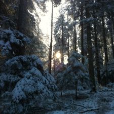 Profile image of Froese71