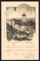 AK Morat, Château, 1899