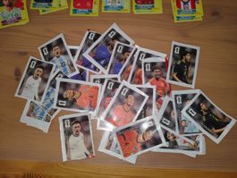 🔥29 Coca Cola Panini Sticker WM26