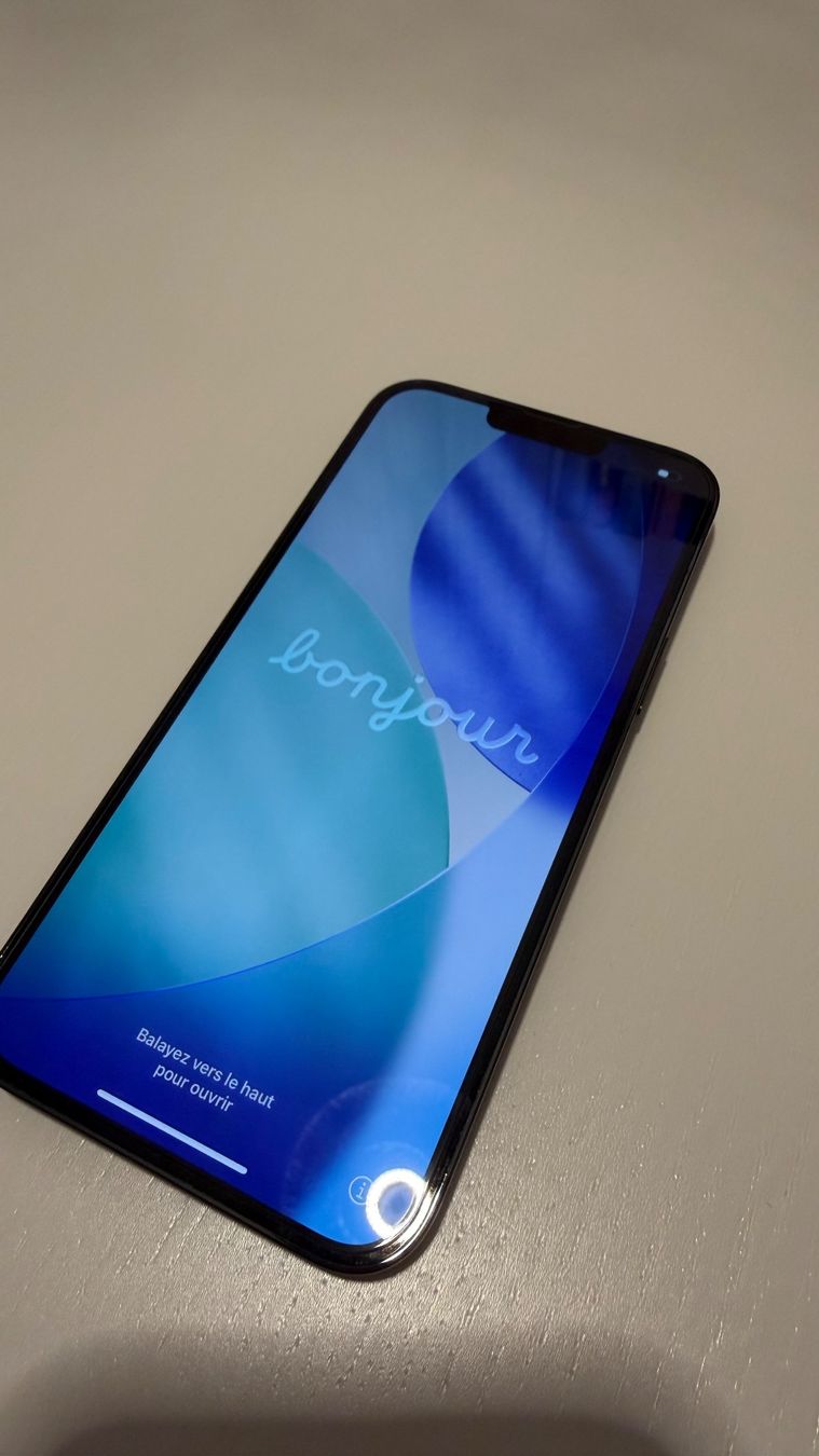 Apple Telefoni cellulari / Smartphones: Iphone 13Pro Max 128GB – Usato da Schlieren venduto da sunhine
