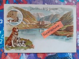 AK Gd. St. Bernard Rettungs Hund Barry Litho Alpen Pässe