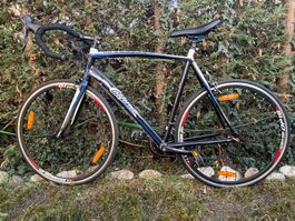 California Vitesse 4.0