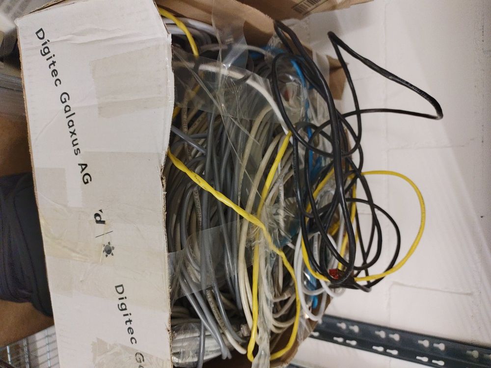 Ethernet Cables - whole box (Gebraucht) in Zürich für CHF 5 – nur ...