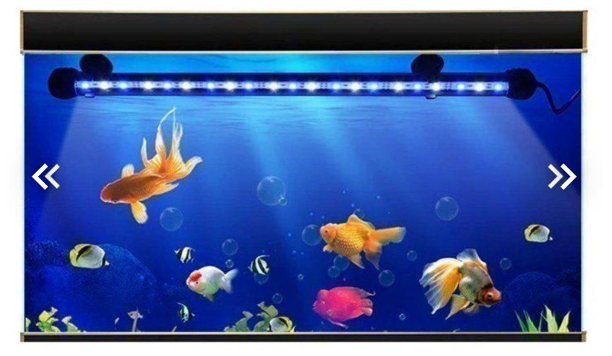 Lampade: LED Aquarium Beleuchtung – Nuovo e nell'imballaggio originale da Amriswil venduto da Ravinvida 5