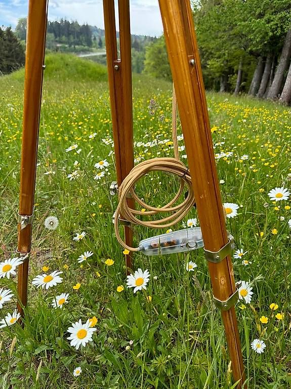 Lampen: Ständerlampe, Stehleuchte, Oldtimer, Scheinwerfer, Marchal – Gebraucht aus Walzenhausen von energieberaten 2