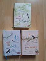 Mercy-Falls-Trilogie von Maggie Stiefvater Romane Sammlung