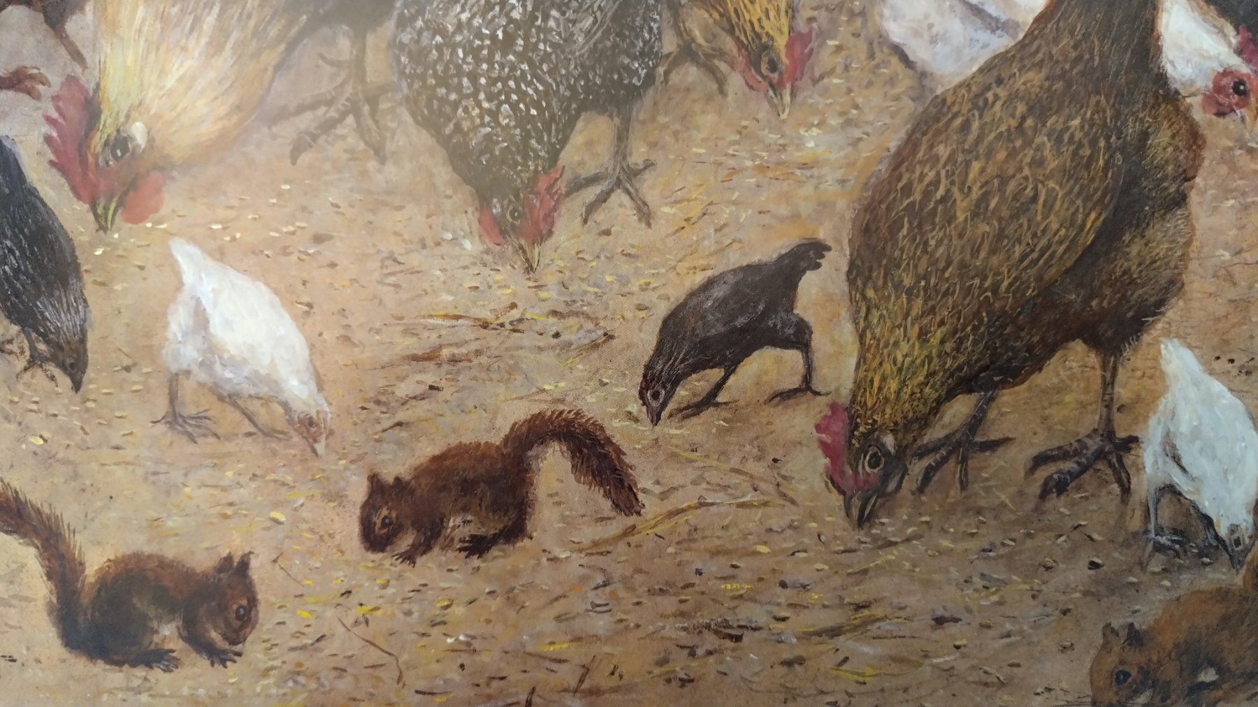 Livres: Peter Bergmann - Eichhörnchen auf Besuch / Bilderbuch – D'occasion à Bellach par JingleJerry 8