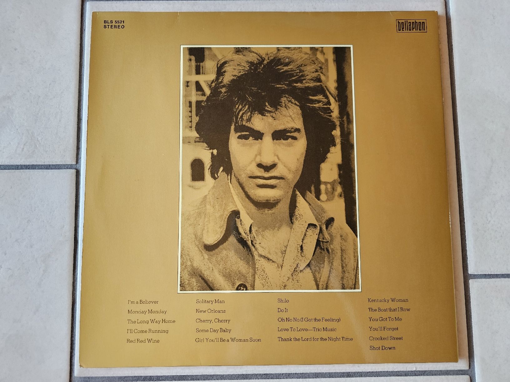Dischi in vinile: Neil Diamond  -  Double Gold  /  2 LP's – Usato da Schneisingen venduto da backstore24 1