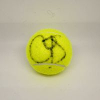 Tennisball Von Trainer Toni Nadal signiert