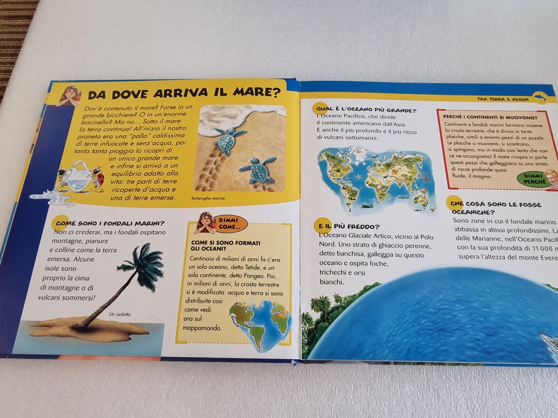 Libri: 5 libri degli animali – Usato da Hinwil venduto da Fransim 5