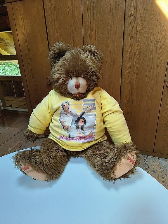 Jouets: Teddy – D'occasion à Oberwil i. S. par Roleschl