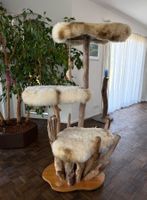 Naturkratzbaum  Katzenbaum  Natur Schwemmholz  150 cm hoch