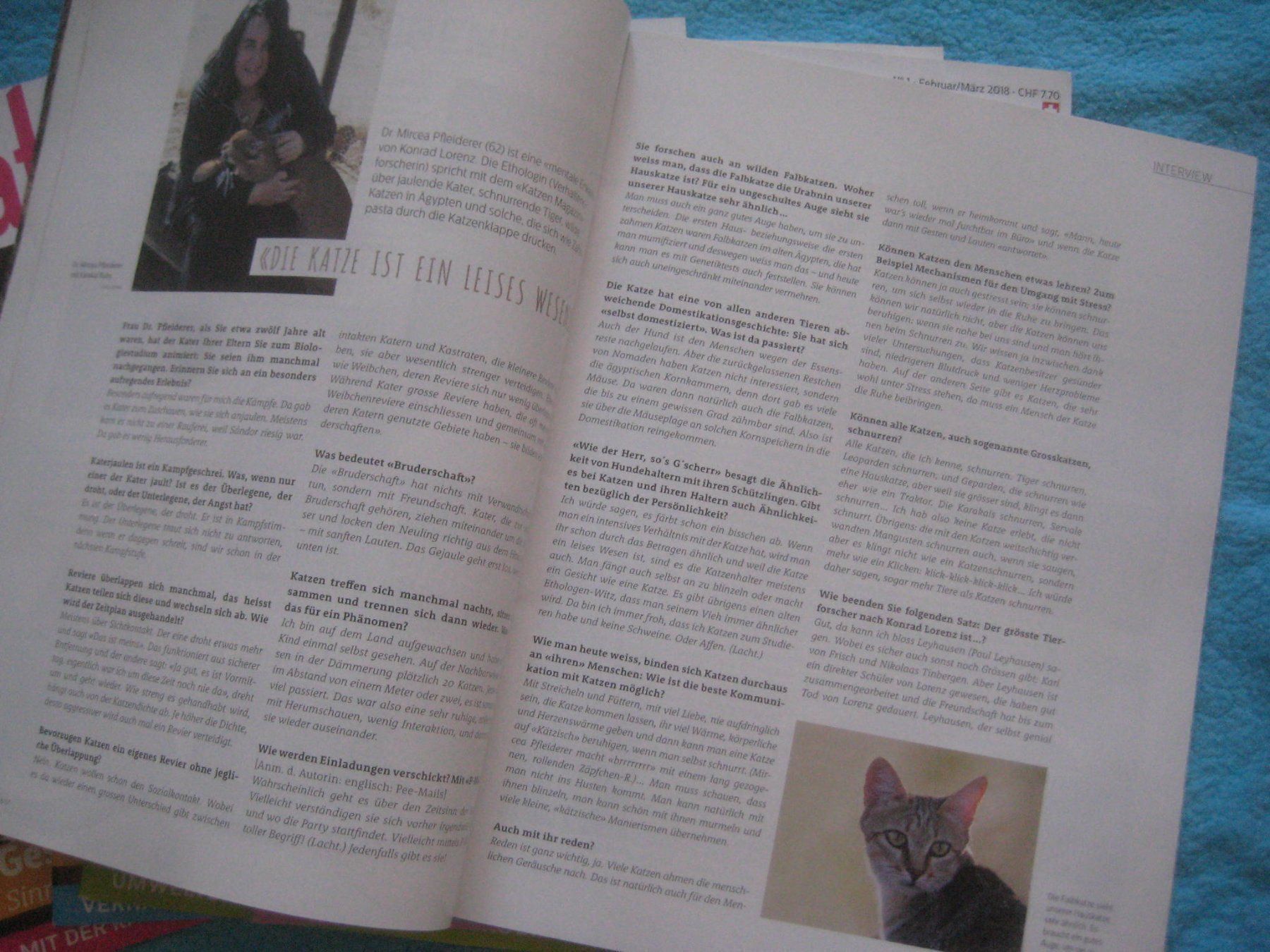 Riviste & Magazine: KATZEN HEFTEN  MAGAZIN – Usato da Uster venduto da flocke1 3