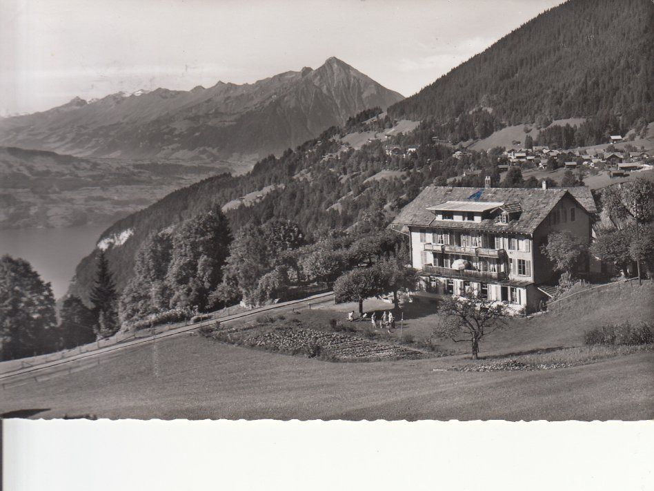 Cartoline postali: Beatenberg Ferienheim des Alpes 1956 – Usato da Bürglen TG venduto da StampGraf