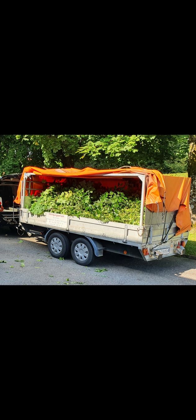 Stüssy Rimorchi: Transportanhänger – Usato da Zofingen venduto da muk_8crd