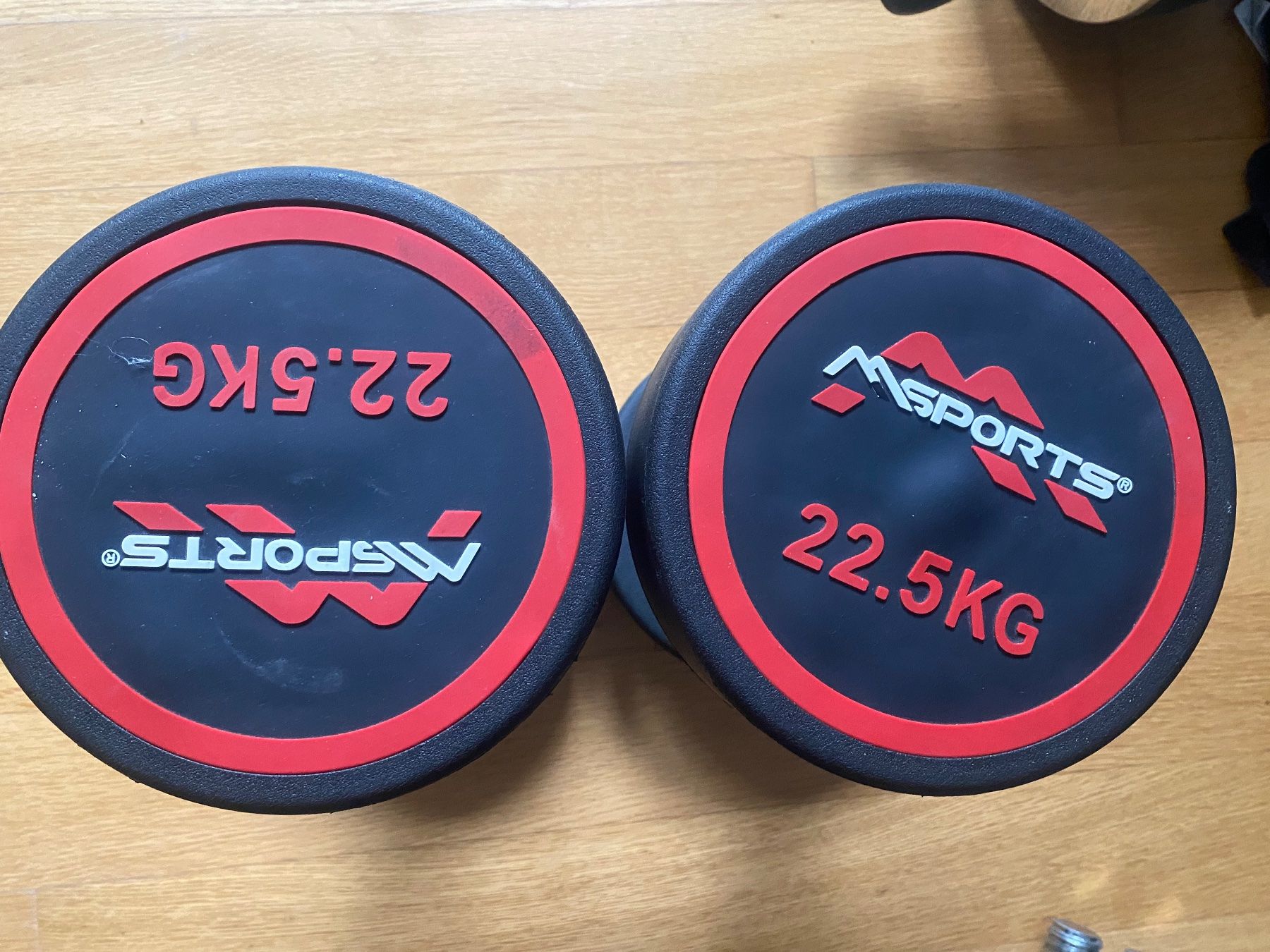 Manubri & Pesi: 2 x 22.5kg dumbbells – Usato da Zürich venduto da mel_z6hd