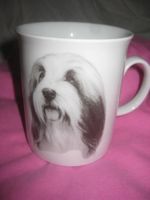 PORZELLAN  TASSE  BEARDED   COLLIE