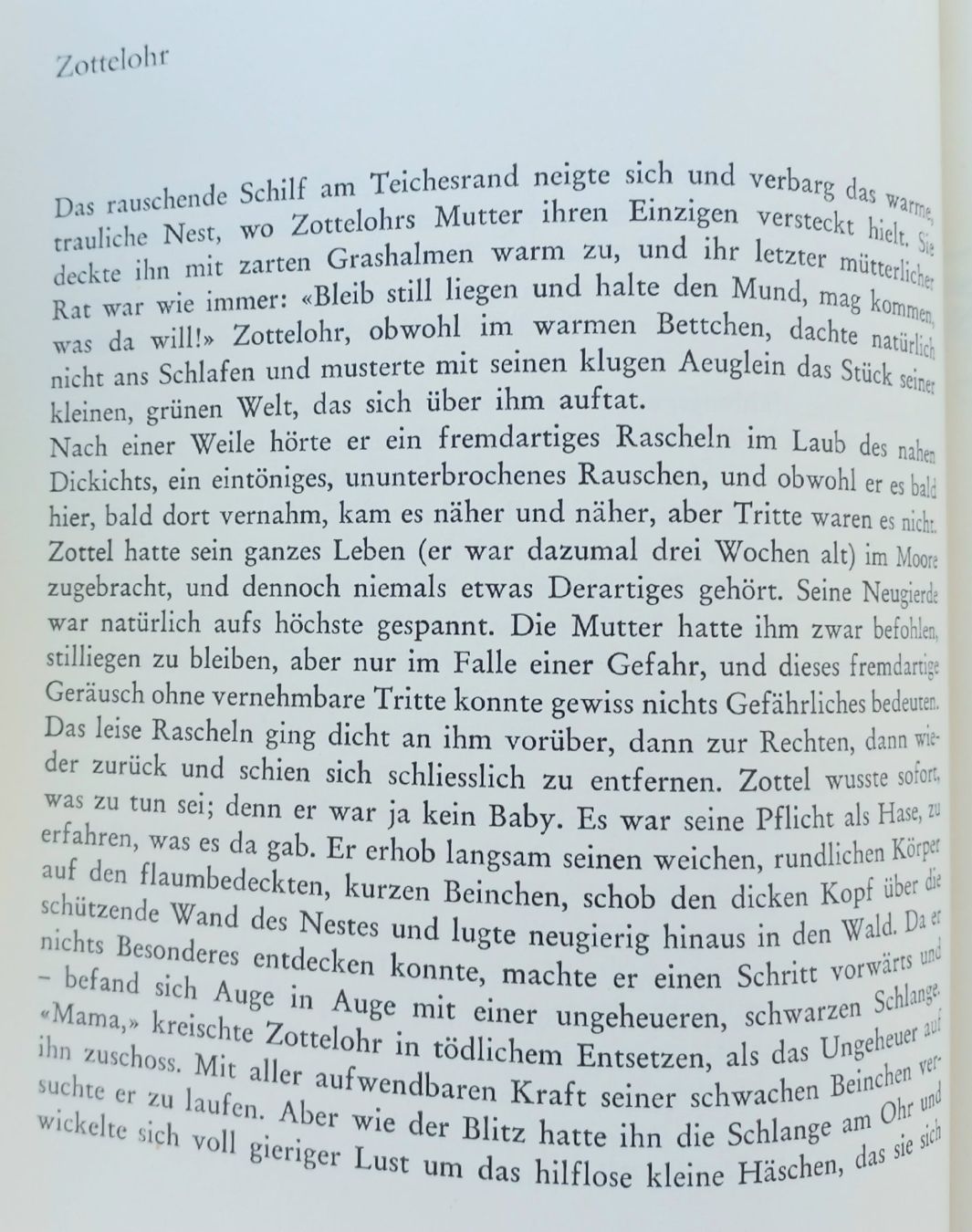 Libri: Buch - Geliebtes Tier – Usato da Niederuzwil venduto da lubimaja 5