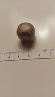 Tiegerauge