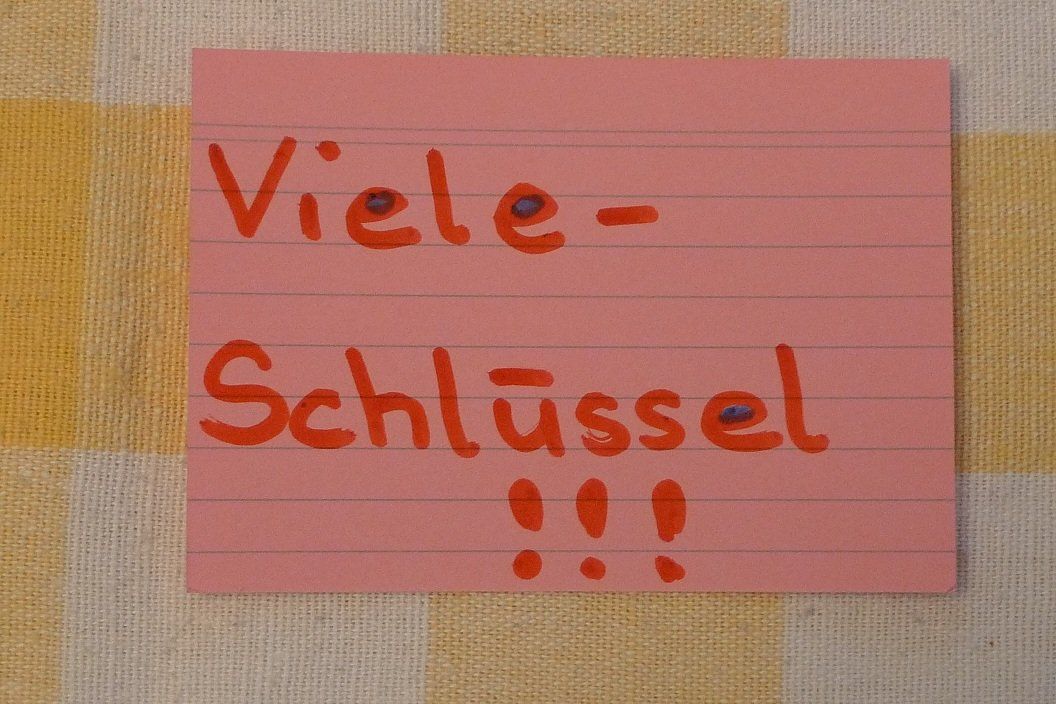 Tutti gli attrezzi: Viele-Schlüssel!!! – Usato da Bern venduto da bn1640 5