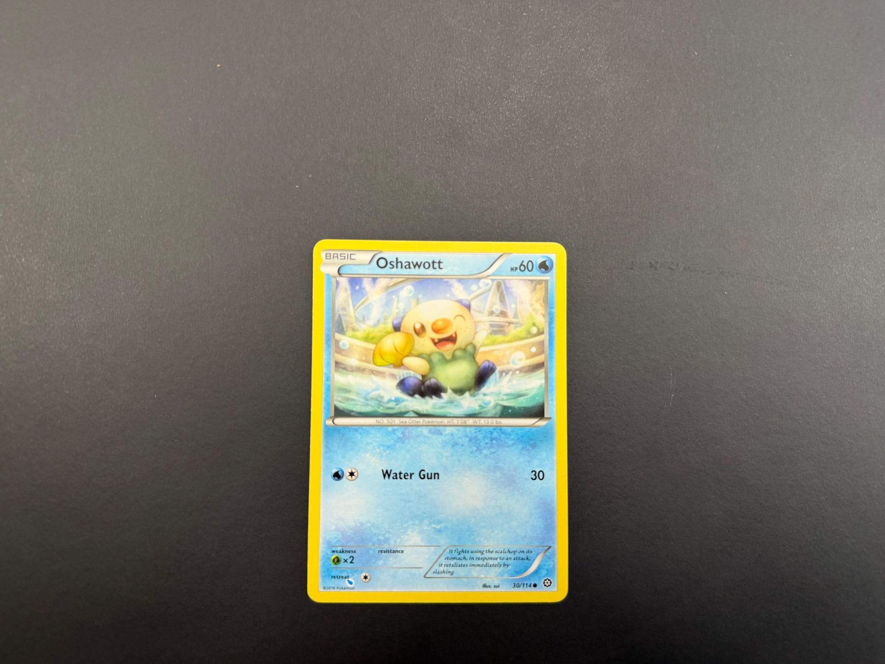 Pokémon Carte collezionabili: Oshawott 30/114 – Usato da Zürich venduto da mountainwizard00